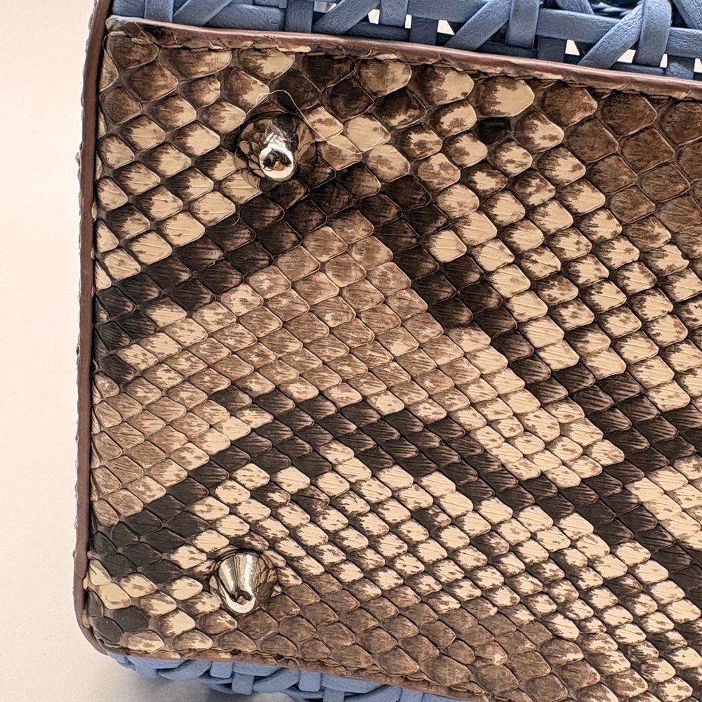 Dior Woven Lady Dior with Python Trim - image 4